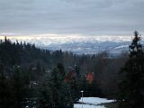 IMG_0890_resize