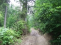 DSCF8556