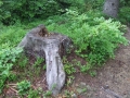 DSCF8561