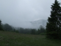 DSCF8569