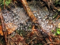 DSCF8573