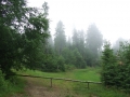 DSCF8577