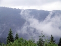 DSCF8589