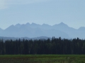 DSCF5472