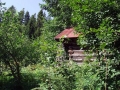 DSCF4586