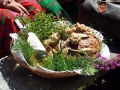 DSCF4678