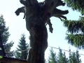 DSCF4739