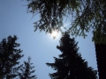 DSCF4741