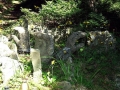 DSCF4756