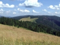 DSCF4767