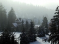 DSCF6941