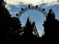 117-IMG_2113-h