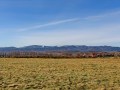 IMG_163386-hz