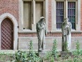 IMG_184142-hz