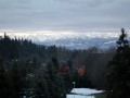 IMG_0890_resize