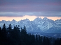 IMG_0891_resize