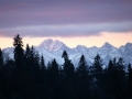 IMG_0897_resize