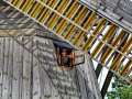 029 IMG_76348 kh_resize