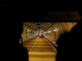 074 IMG_76902 hs_resize