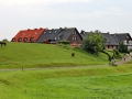 080 IMG_77022 hx_resize