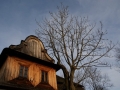 DSC07216