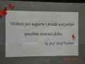 DSC_8421 (1)