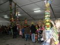 DSC05565