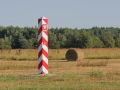 IMG_2440_resize