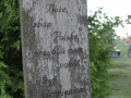 IMG_2801_resize