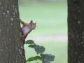 IMG_3301_resize