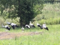IMG_4178_resize