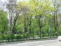 DSCF7635