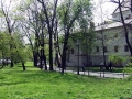 DSCF7636