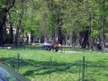 DSCF7638