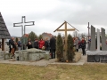 132 IMG_59516 h_resize