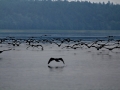 010 IMG_40859 h_resize