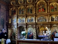 019 IMG_69431 h_resize