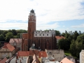 IMG_0081_resize