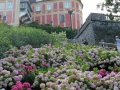 IMG_0092_resize