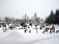 DSC05035