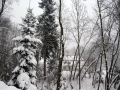 DSC05046
