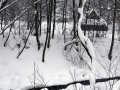 DSC05048