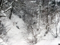 DSC05059