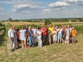 IMG_176673-h
