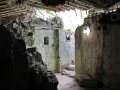 IMG_176711-hh
