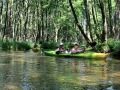 IMG_177009-kh