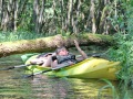 IMG_177041-hx