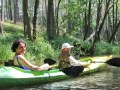 IMG_177052-hz