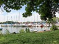 IMG_2659