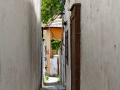 058 IMG_109896 h
